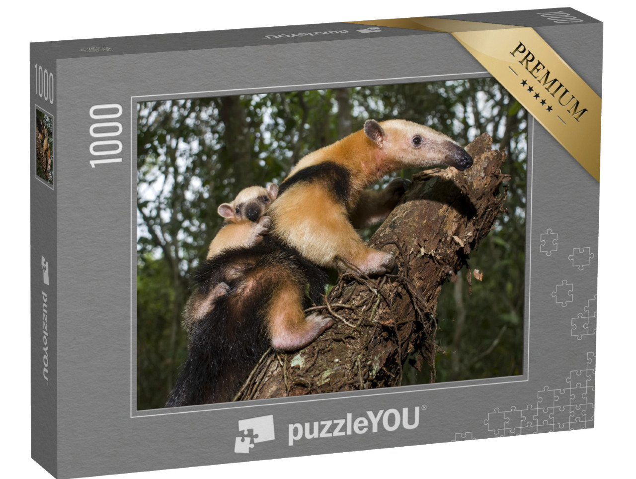 Puzzle de 1000 pièces « Tamandua du Sud, Espírito Santo, Brésil »