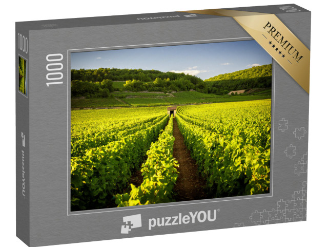 Puzzle de 1000 pièces « Vignobles à Savigny les Beaune, près de Beaune, Bourgogne, France »