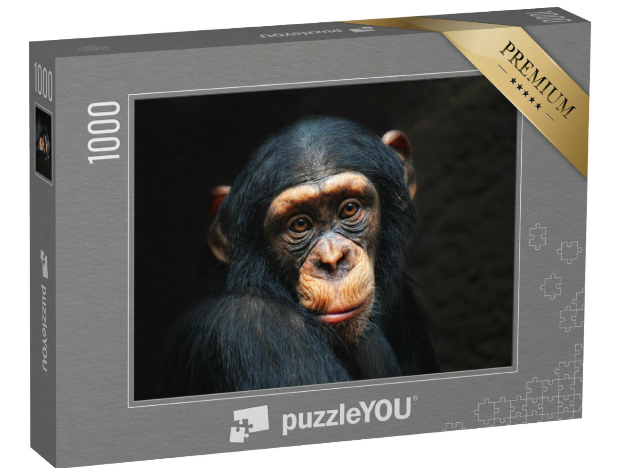 Puzzle de 1000 pièces « Portrait d'un chimpanzé »