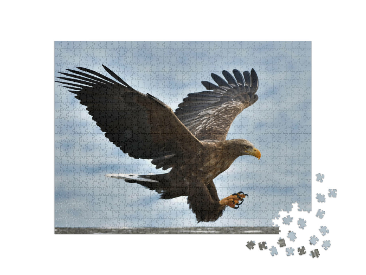 Puzzle de 1000 pièces « Un aigle de mer s'envole dans un ciel bleu »