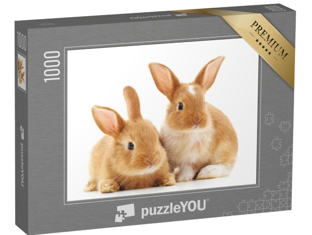 Puzzle de 1000 pièces « Deux petits lapins marron clair »
