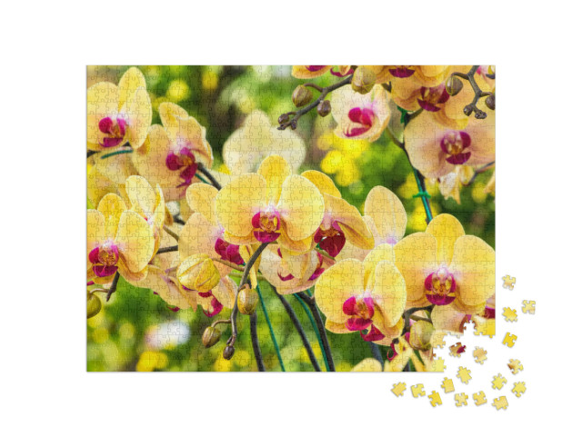 Puzzle de 1000 pièces « Magnifique orchidée jaune »