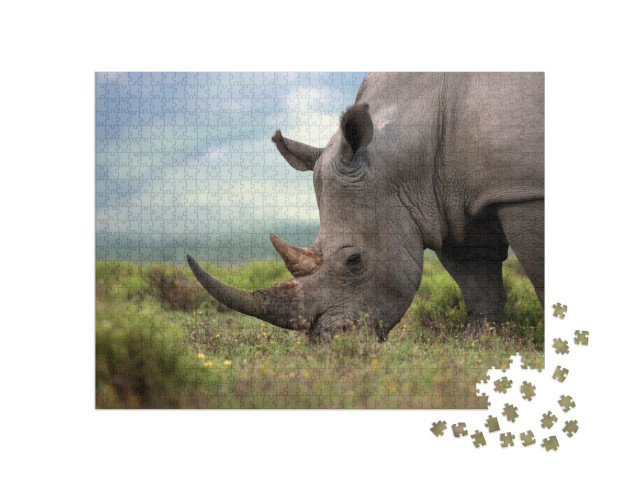 Puzzle de 1000 pièces « Gros plan sur un rhinocéros blanc »