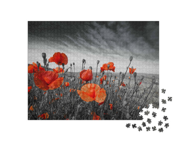Puzzle de 1000 pièces « Des coquelicots dans une prairie »