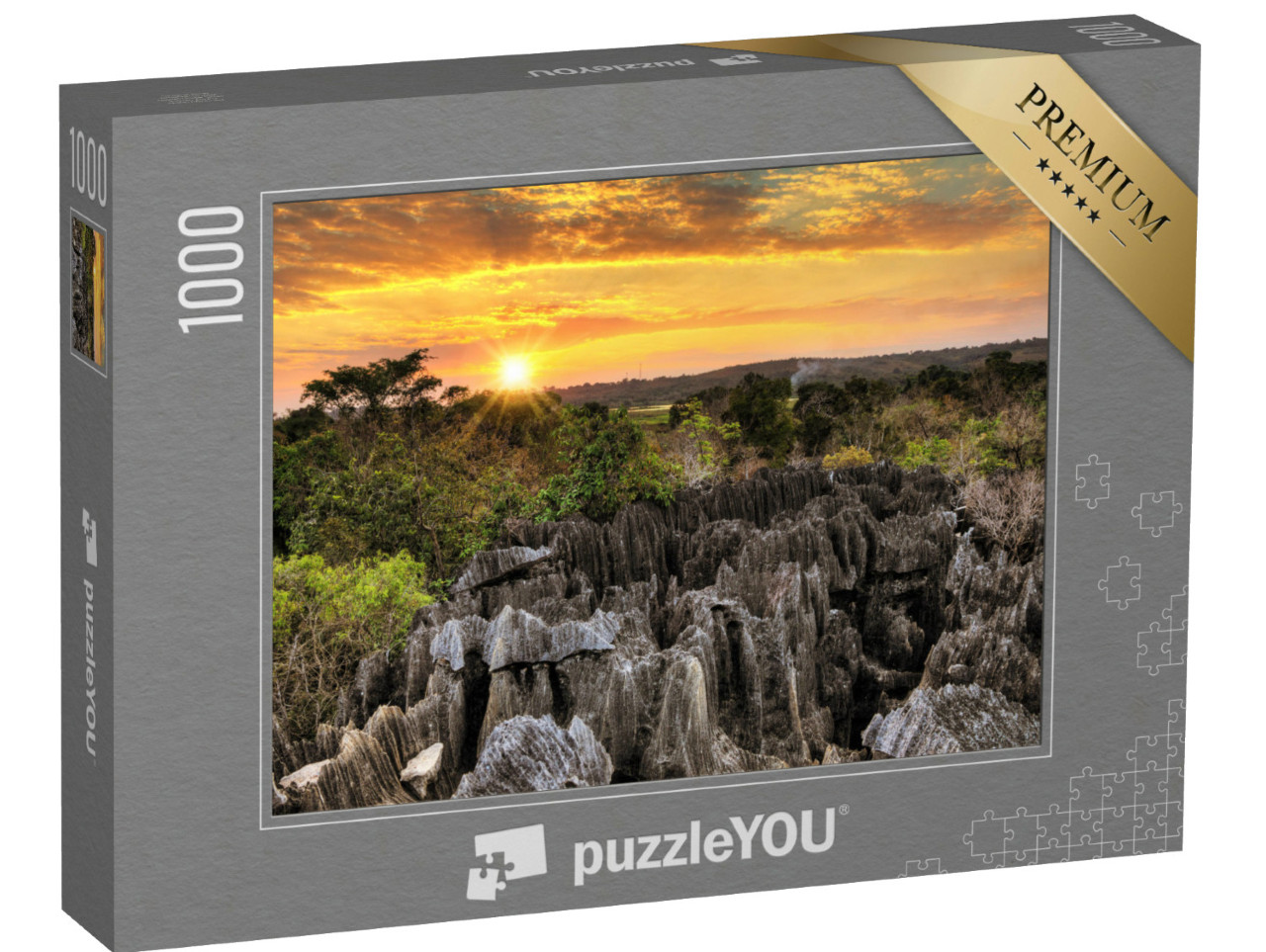 Puzzle de 1000 pièces « Une géographie unique dans le parc national Tsingy de Bemaraha, Madagascar »
