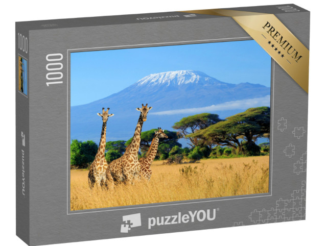 Puzzle de 1000 pièces « Girafes au Kilimandjaro, photo prise dans un parc national au Kenya »