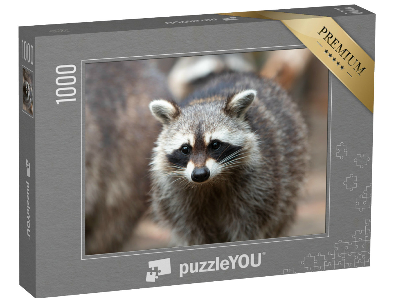 Puzzle de 1000 pièces « Raton laveur d'Amérique du Nord »