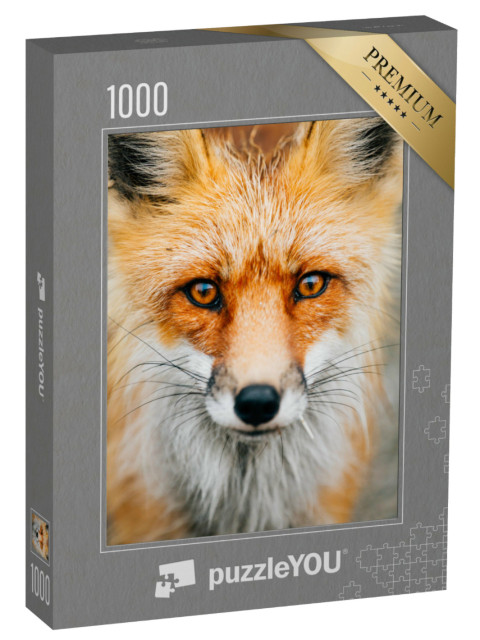 Puzzle de 1000 pièces « Gros plan : petit renard sauvage attentif »