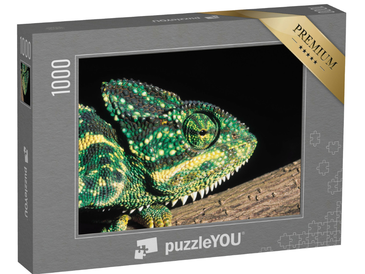 Puzzle de 1000 pièces « Caméléon indien, Inde »