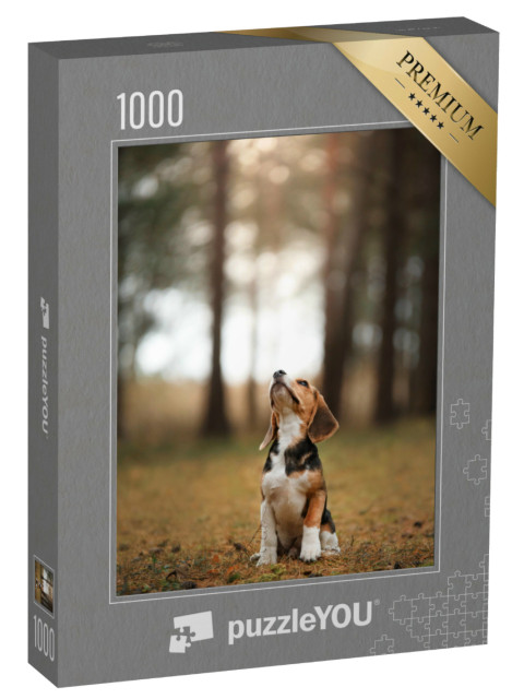 Puzzle de 1000 pièces « Chien courant dans la nature, beagle »