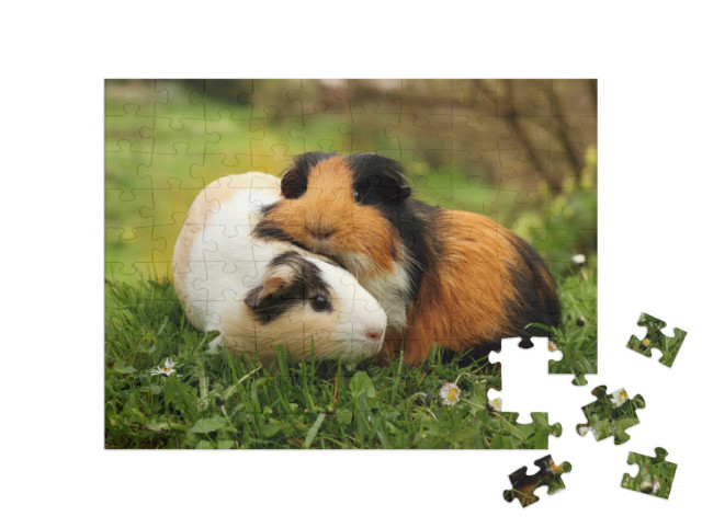 Puzzle de 100 pièces « Amis des cochons d'Inde »