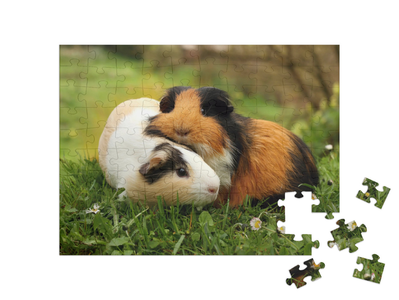 Puzzle de 100 pièces « Amis des cochons d'Inde »