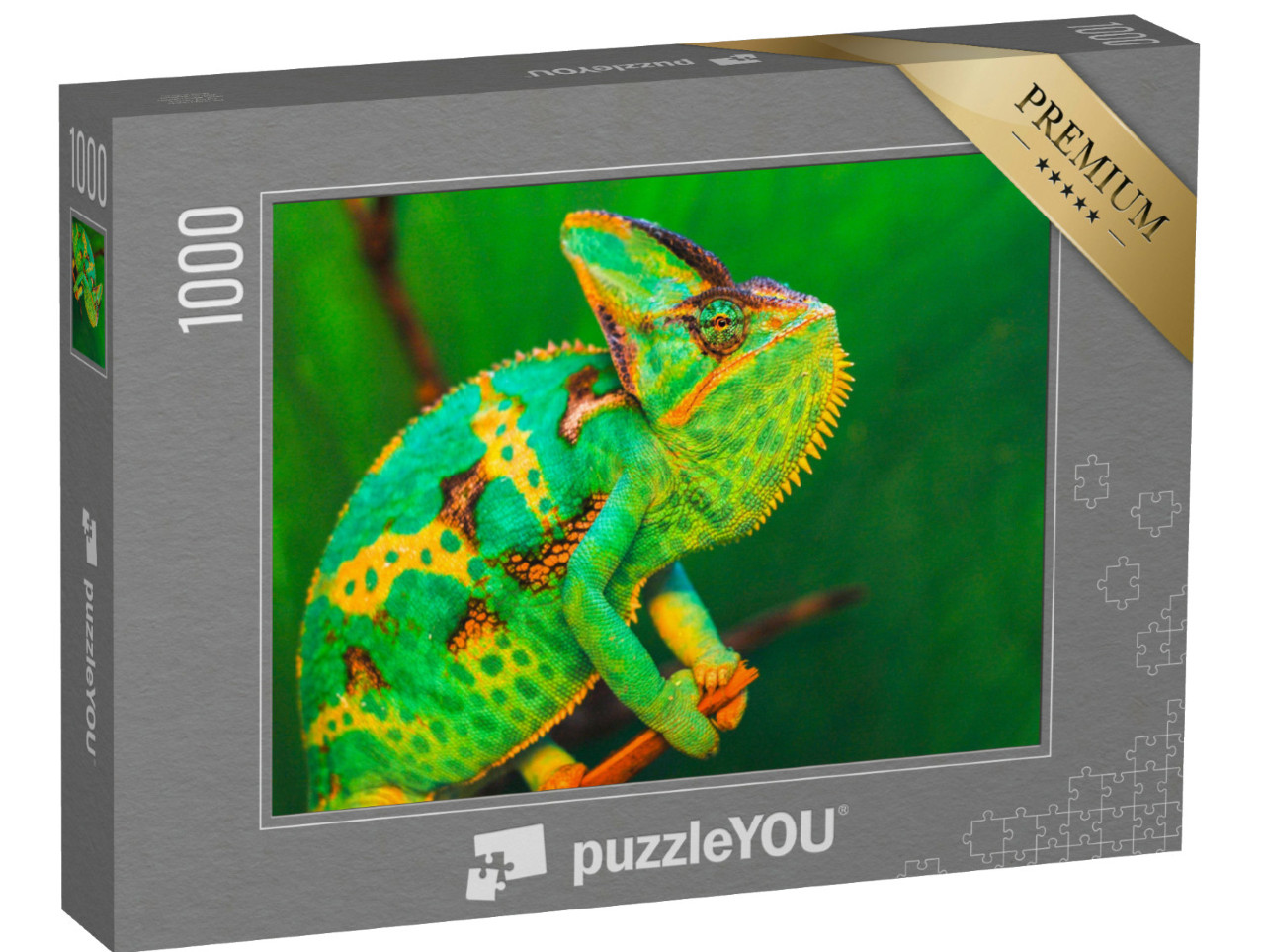 Puzzle de 1000 pièces « Chamaeleo calyptratus en Arabie saoudite, au Yémen »