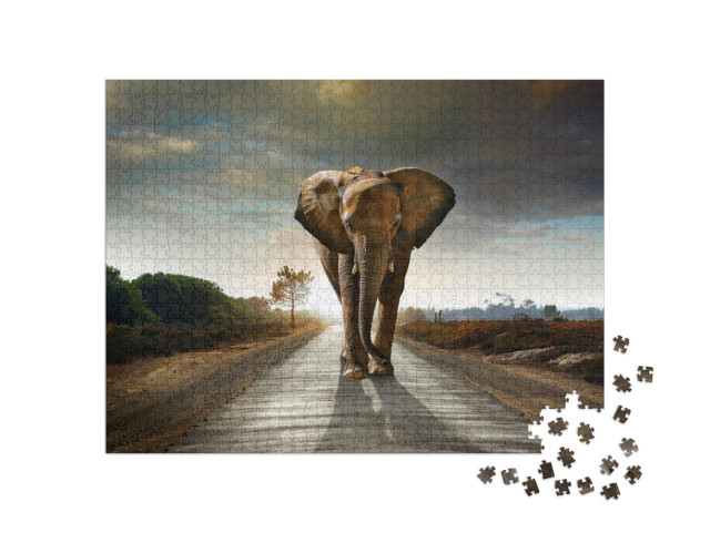 Puzzle de 1000 pièces « Eléphant sur une route »