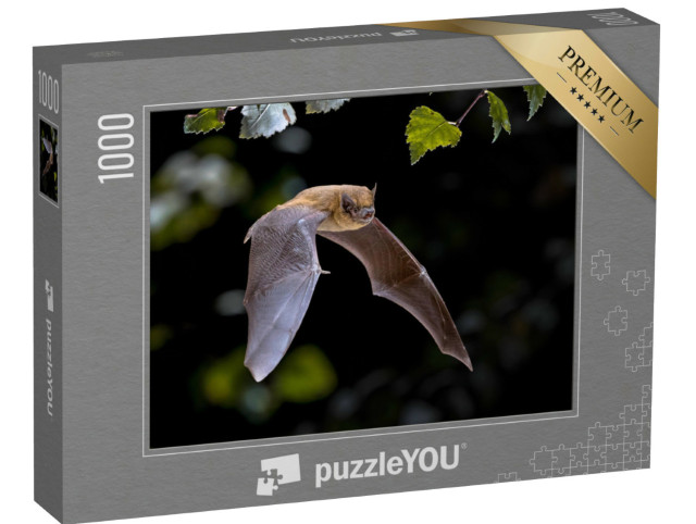 Puzzle de 1000 pièces « Pipistrelle Chauve-souris en vol dans la forêt »
