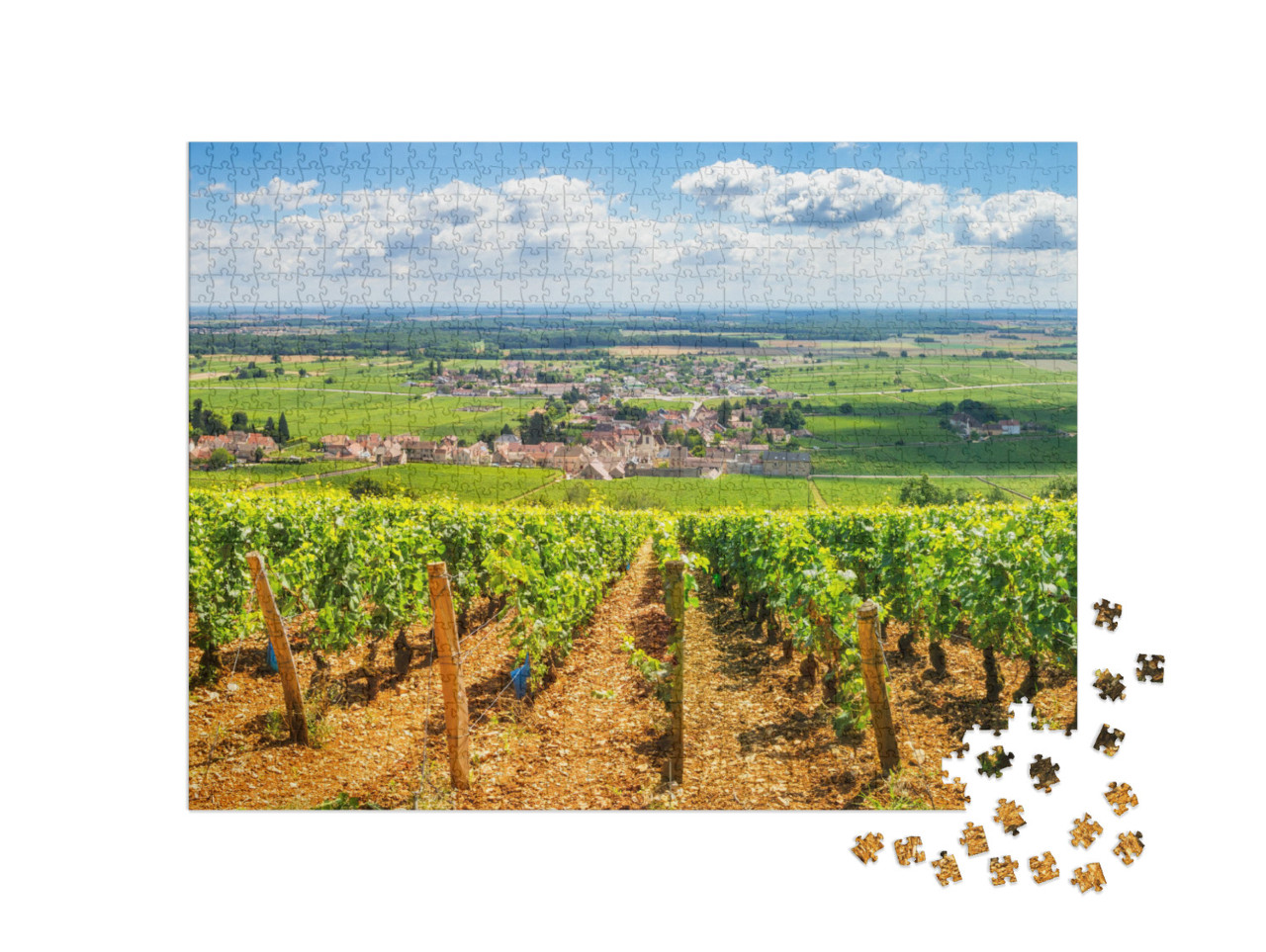 Puzzle de 1000 pièces « Vignobles en Bourgogne, France »