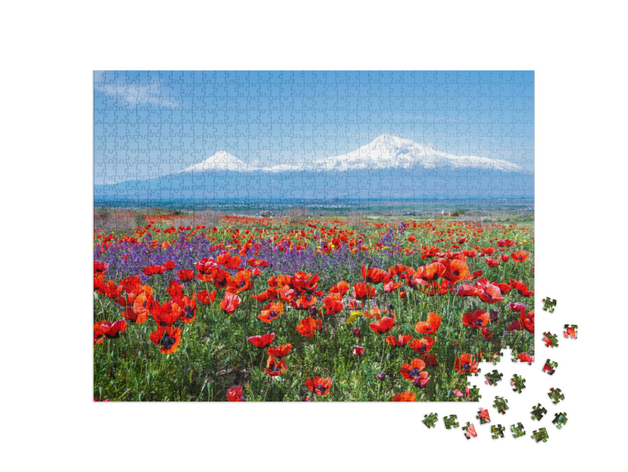Puzzle de 1000 pièces « Le mont Ararat en Turquie »