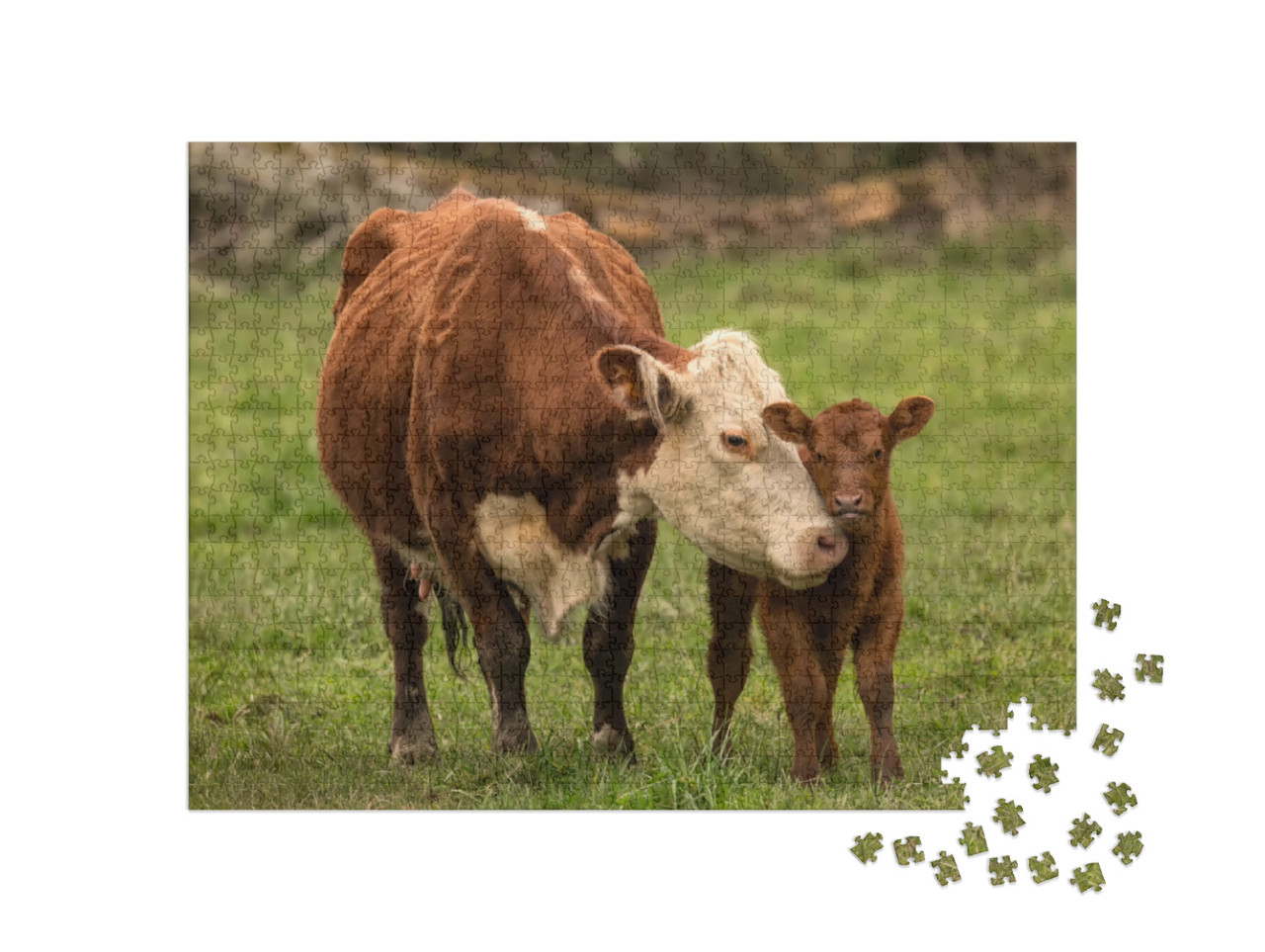 Puzzle de 1000 pièces « Vache mère et veau »