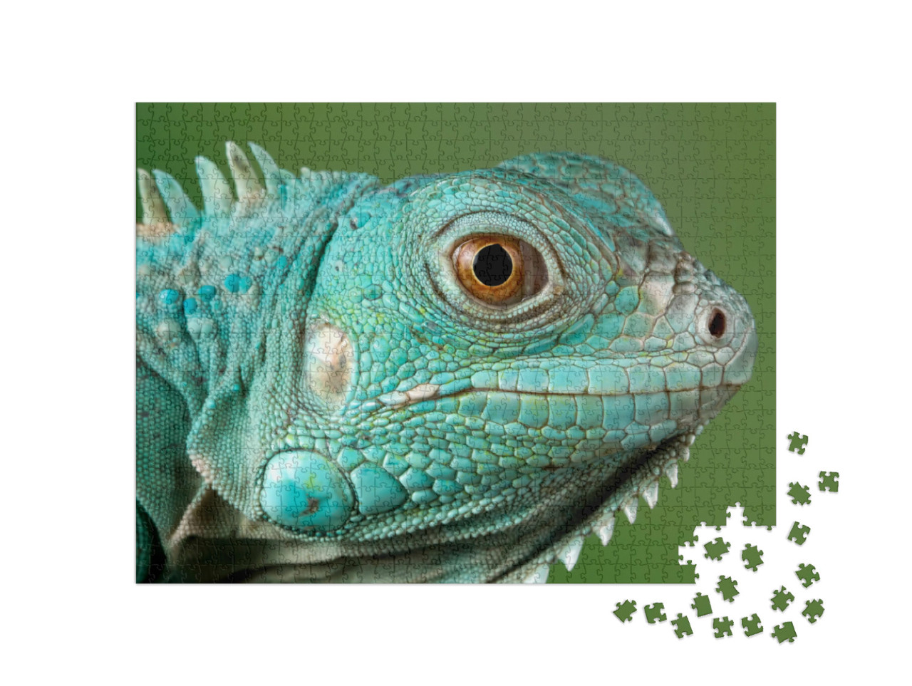 Puzzle de 1000 pièces « Iguane bleu »