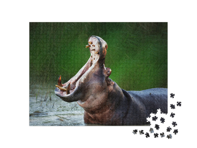 Puzzle de 1000 pièces « Hippopotame à gueule ouverte »