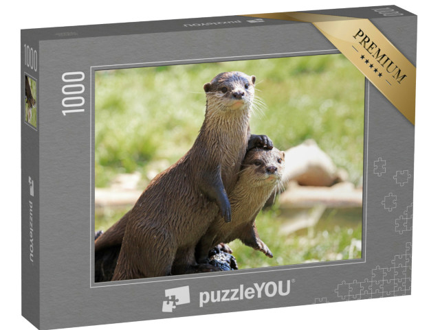 Puzzle de 1000 pièces « Deux loutres de rivière attentives »