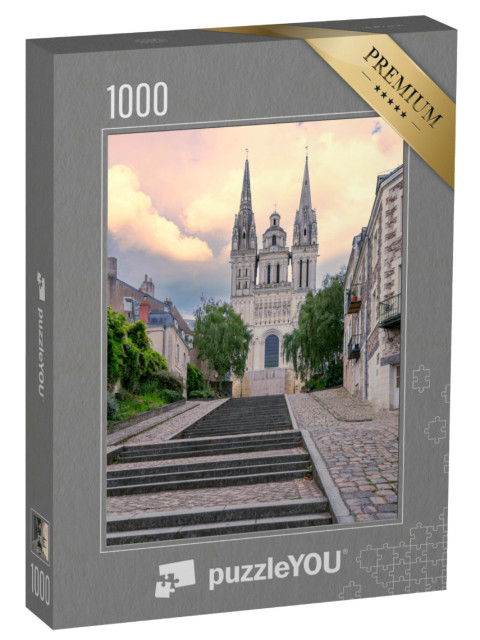 Puzzle de 1000 pièces « Cathédrale historique Saint Maurice d'Angers, Val de Loire »