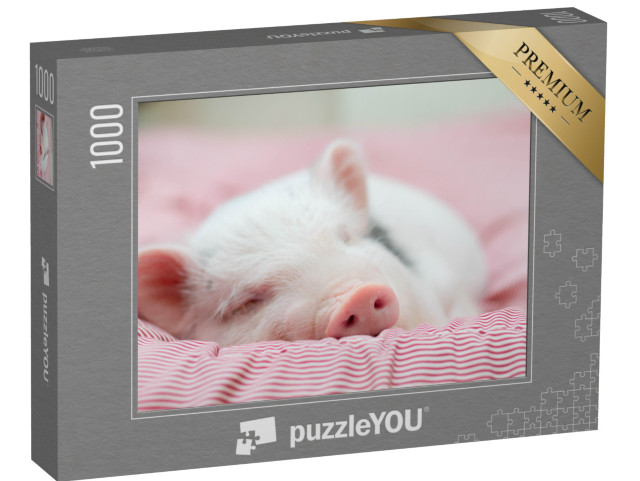 Puzzle de 1000 pièces « Petit porcelet en train de faire une sieste confortable »