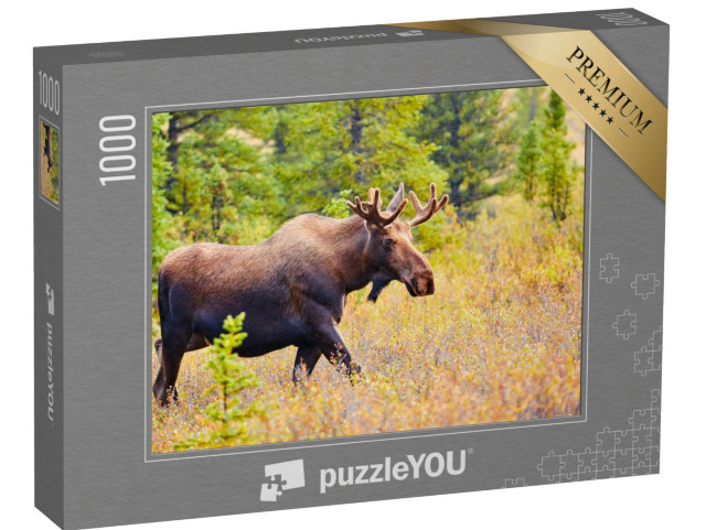 Puzzle de 1000 pièces « Elan, parc national de Denali, Alaska, États-Unis »