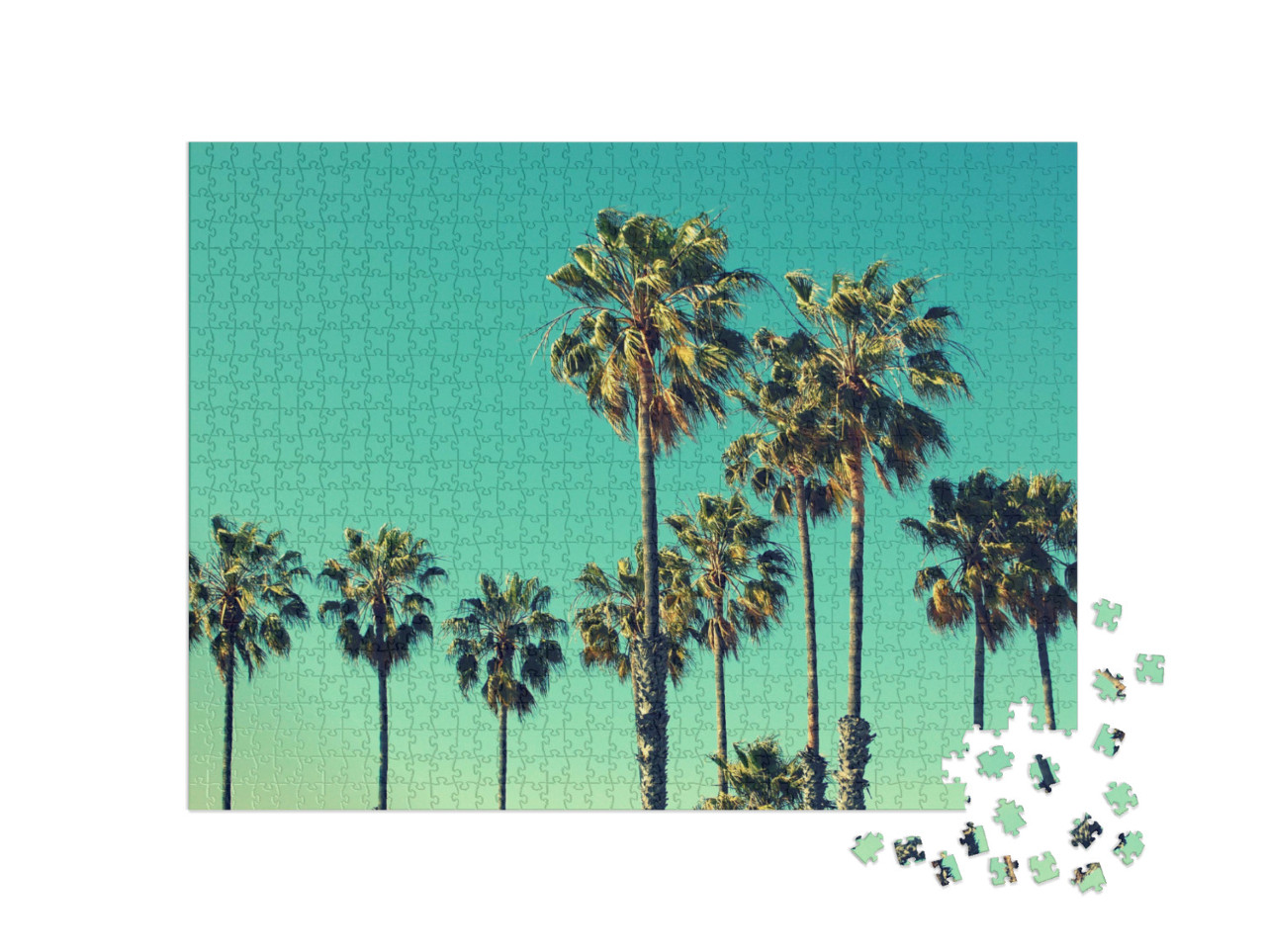 Puzzle de 1000 pièces « Palmiers sur la plage de Santa Monica »