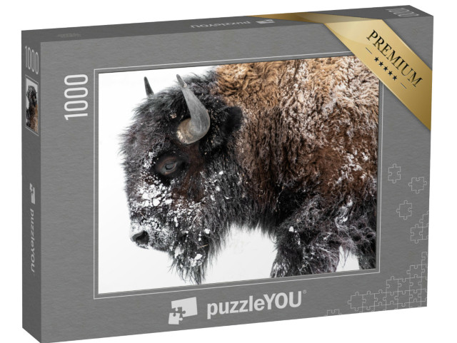 Puzzle de 1000 pièces « Des bisons d'Europe en route vers la neige »