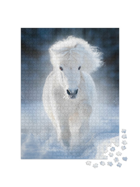 Puzzle de 1000 pièces « Poney Shetland blanc et moelleux au galop dans une prairie hivernale »