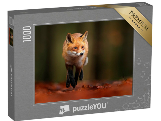 Puzzle de 1000 pièces « Renard roux en terrain automnal »