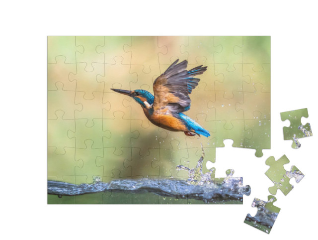 Puzzle de 48 pièces « Le martin-pêcheur s'envole hors de l'eau »
