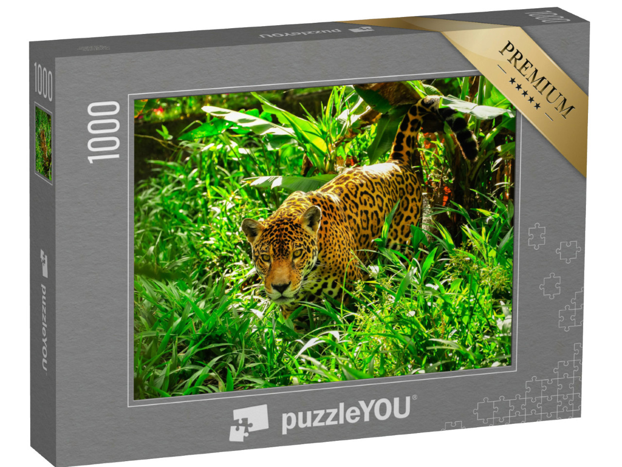 Puzzle de 1000 pièces « Un jaguar adulte à l'affût dans l'herbe »