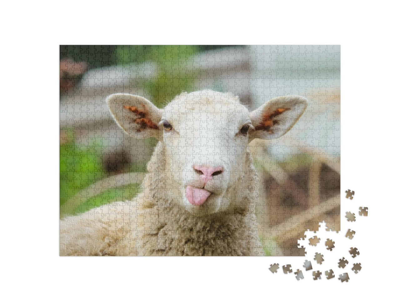 Puzzle de 1000 pièces « Portrait d'un mouton »