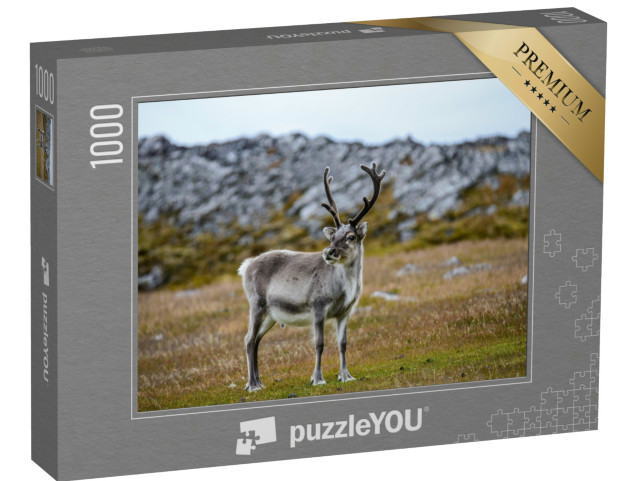 Puzzle de 1000 pièces « Le renne dans son habitat naturel »