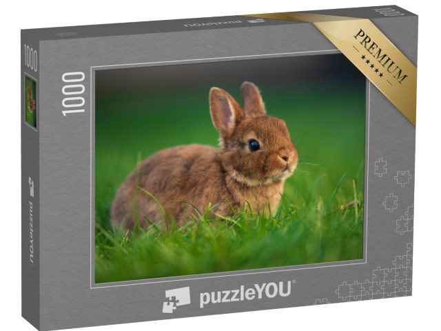 Puzzle de 1000 pièces « Bébé lapin sur l'herbe verte »