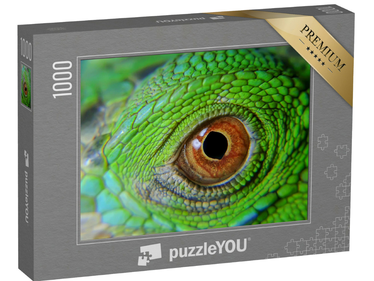 Puzzle de 1000 pièces « Caméléons, lézards qui changent de couleur »
