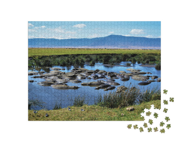 Puzzle de 1000 pièces « Bassin des hippopotames, cratère du Ngorongoro, Tanzanie »