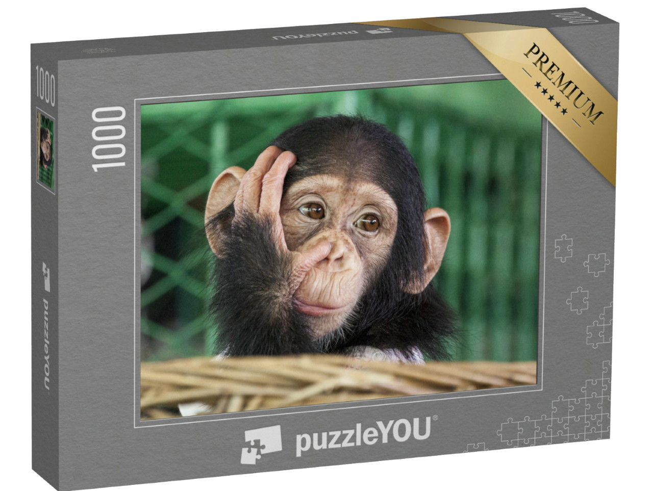 Puzzle de 1000 pièces « Un petit chimpanzé »