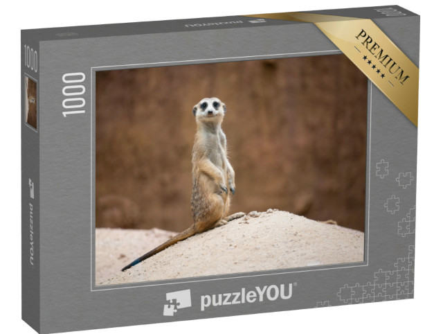 Puzzle de 1000 pièces « Mignon suricate, Suricata suricatta, debout sur un rocher »