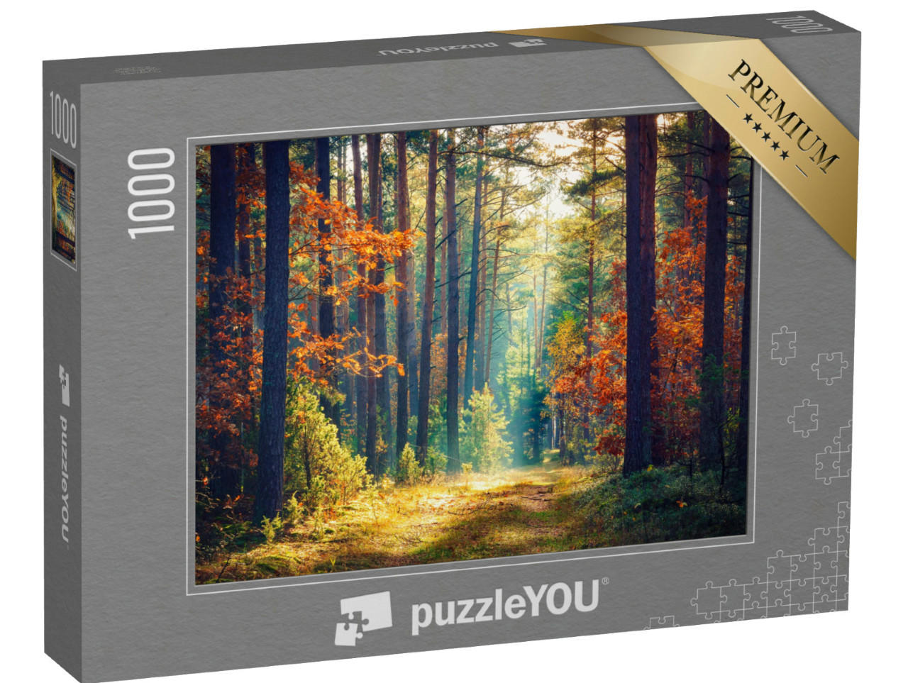 Puzzle de 1000 pièces « Forêt d'automne ensoleillée »