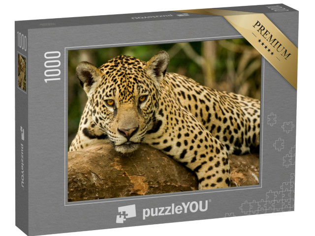 Puzzle de 1000 pièces « Le jaguar »