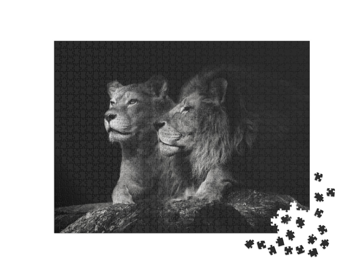 Puzzle de 1000 pièces « Un couple de lions »