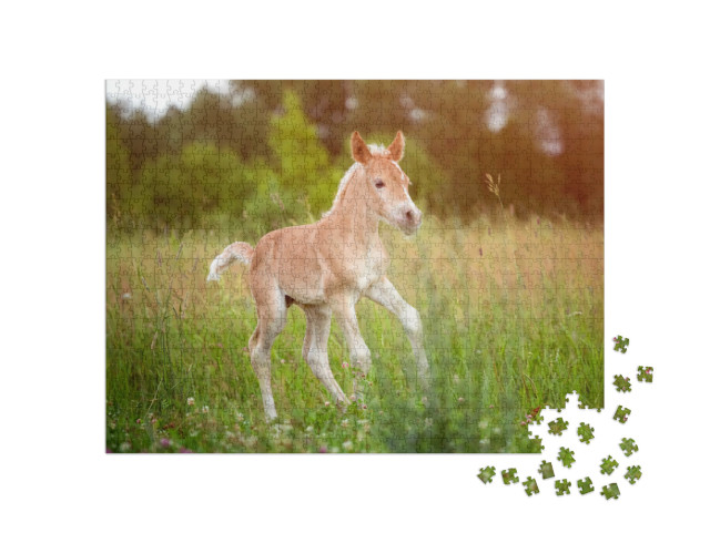 Puzzle de 1000 pièces « Magnifique poulain Haflinger »