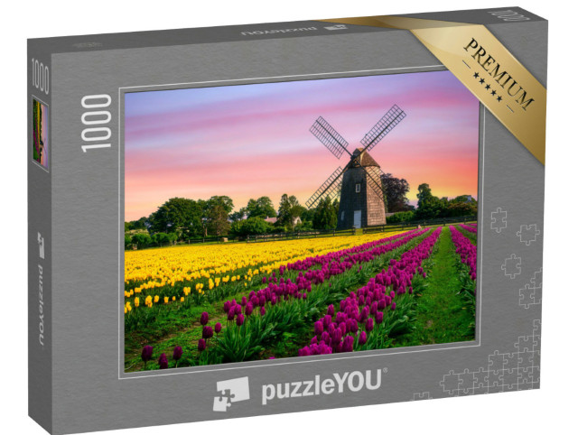 Puzzle de 1000 pièces « Moulin à vent dans un champ de tulipes avec des fleurs »