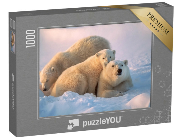 Puzzle de 1000 pièces « Ourse polaire avec ses petits »