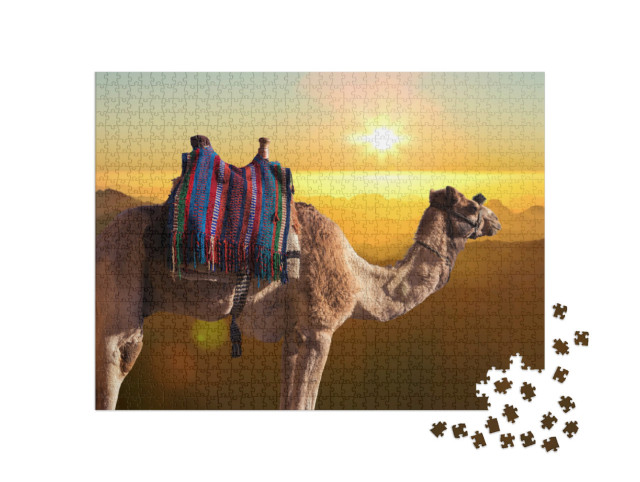 Puzzle de 1000 pièces « Chameau dromadaire devant la montagne de Saint Moïse, Égypte, Sinaï »