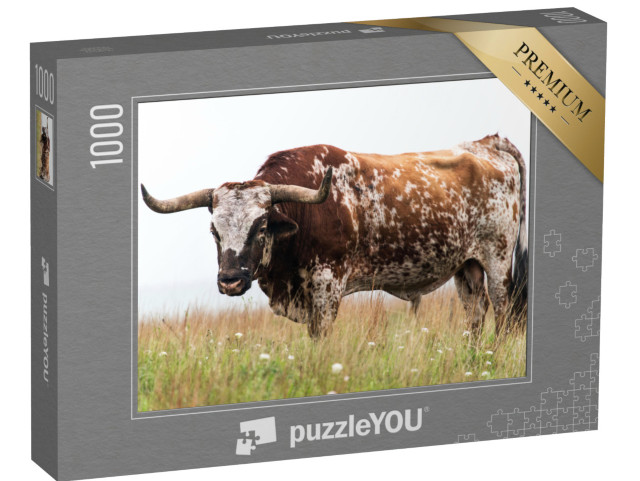 Puzzle de 1000 pièces « Taureau Texas-Langhorn dans le Wichita Mountains National Wildlife Refuge, Oklahoma »