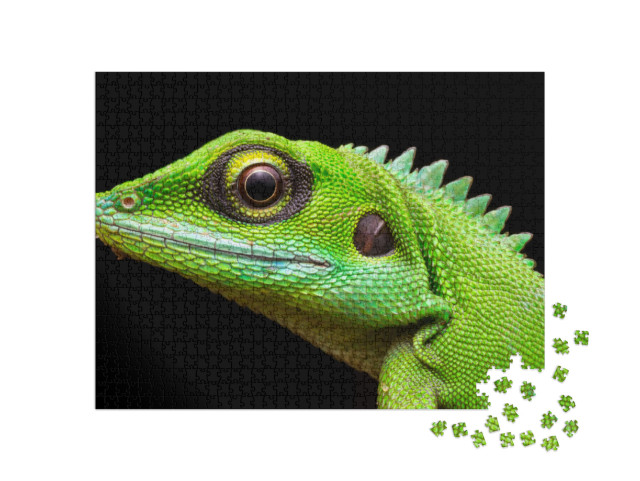 Puzzle de 1000 pièces « Gros plan sur le lézard vert à crête »